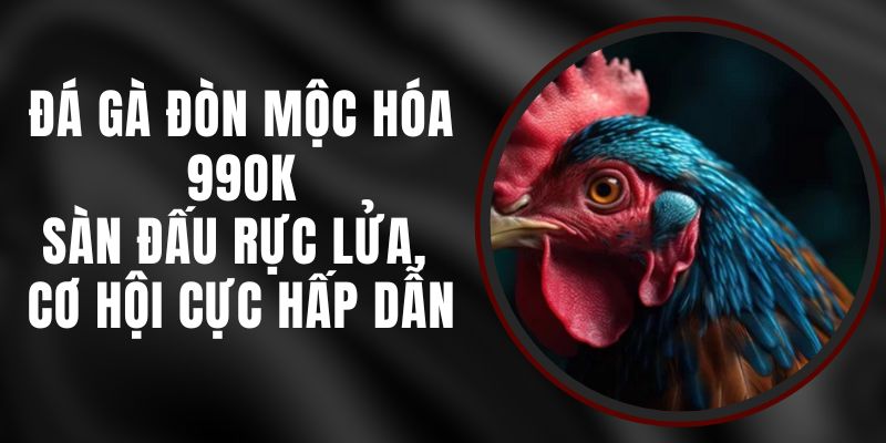 Đá Gà Đòn Mộc Hóa 99ok – Sàn Đấu Rực Lửa, Cơ Hội Cực Hấp Dẫn