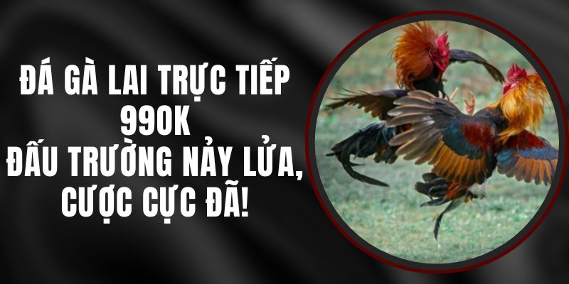 Đá Gà Lai Trực Tiếp 99ok – Đấu Trường Nảy Lửa, Cược Cực Đã!